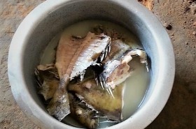 Oj, dzieje się w Mwabungu ...
